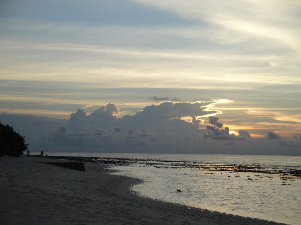 DSC00382.JPG