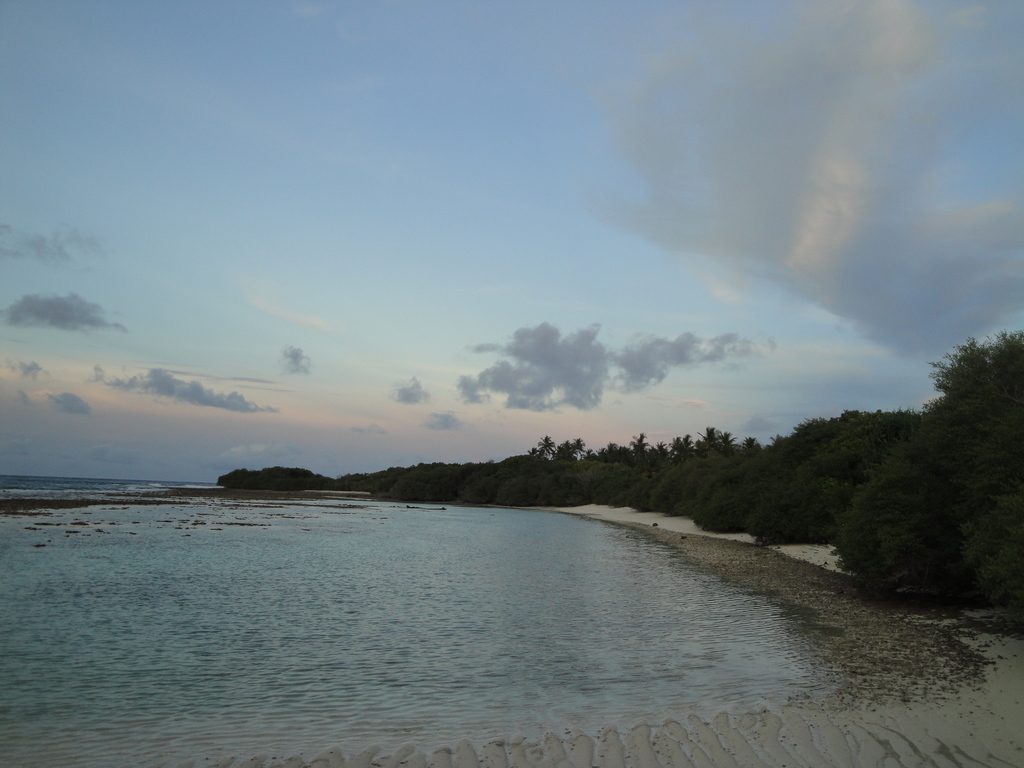 DSC00383.JPG