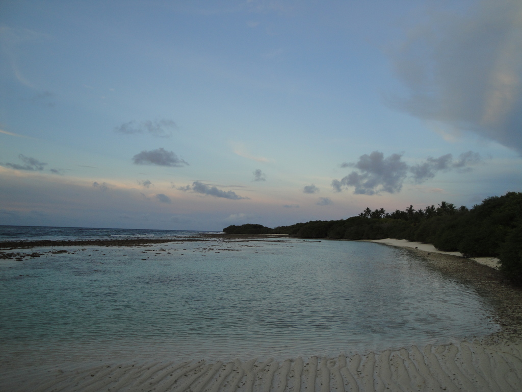 DSC00384.JPG
