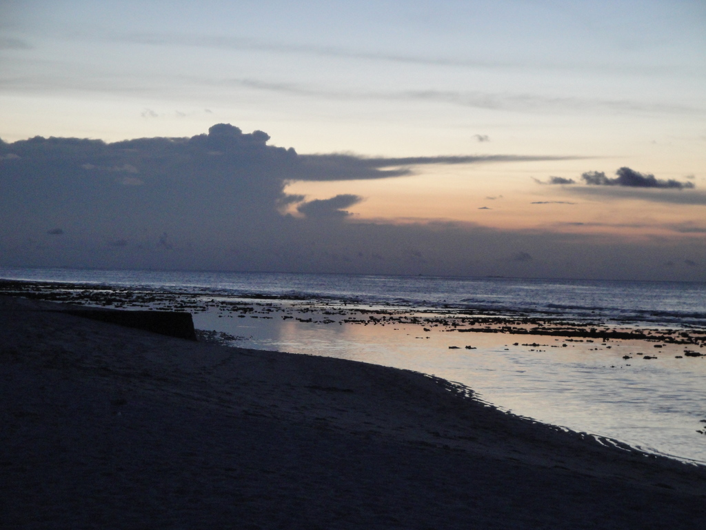 DSC00386.JPG