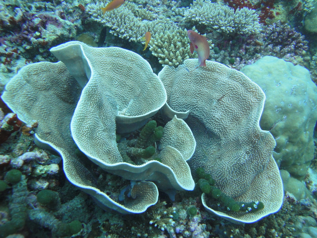 DSC00403.JPG