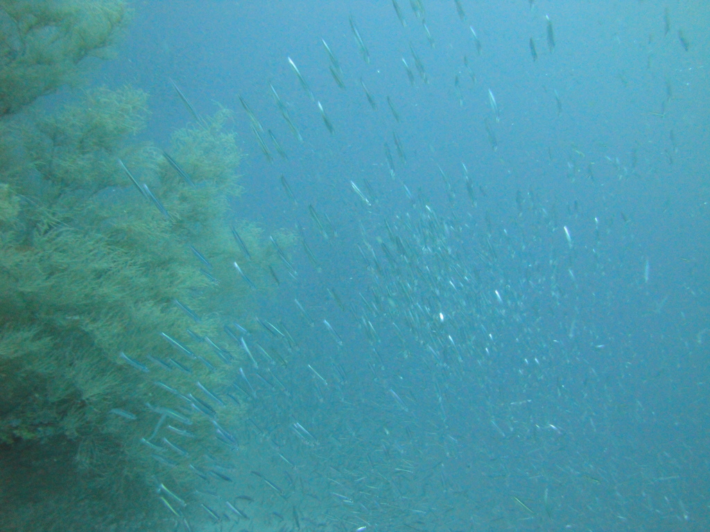 DSC00414.JPG
