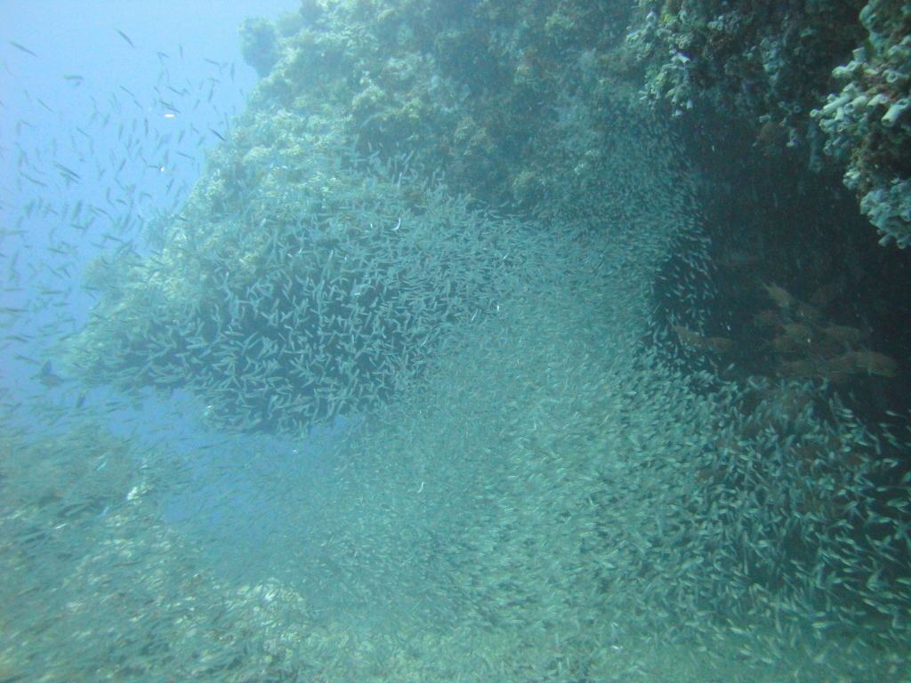 DSC00434.JPG