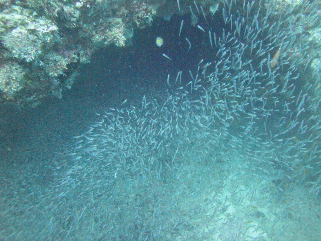 DSC00441.JPG