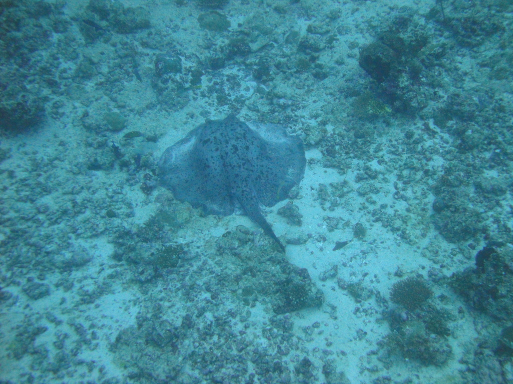 DSC00525.JPG