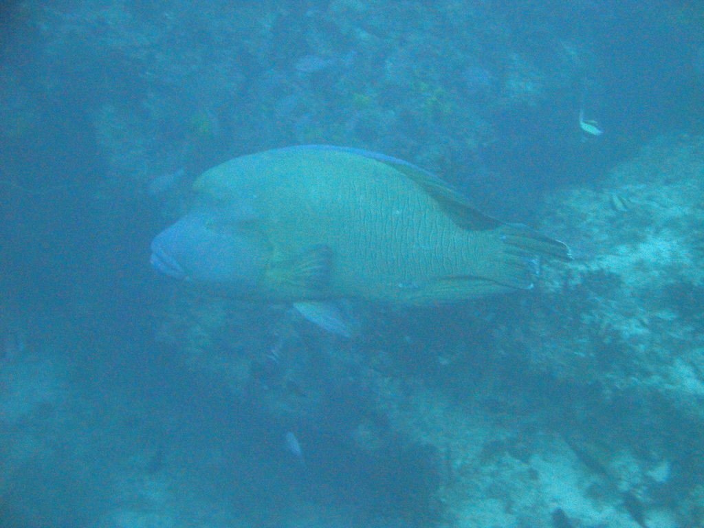 DSC00531.JPG