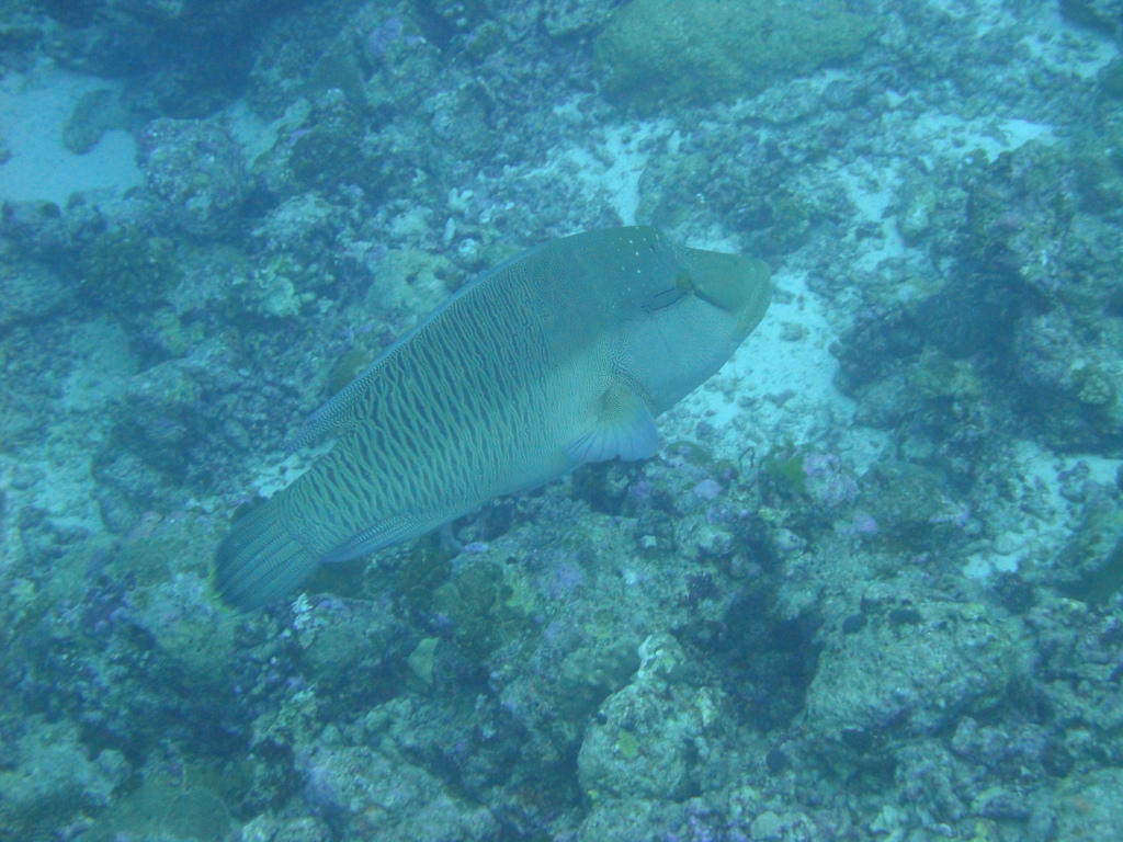 DSC00554.JPG