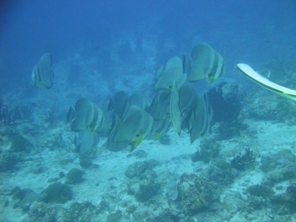 DSC00582.JPG