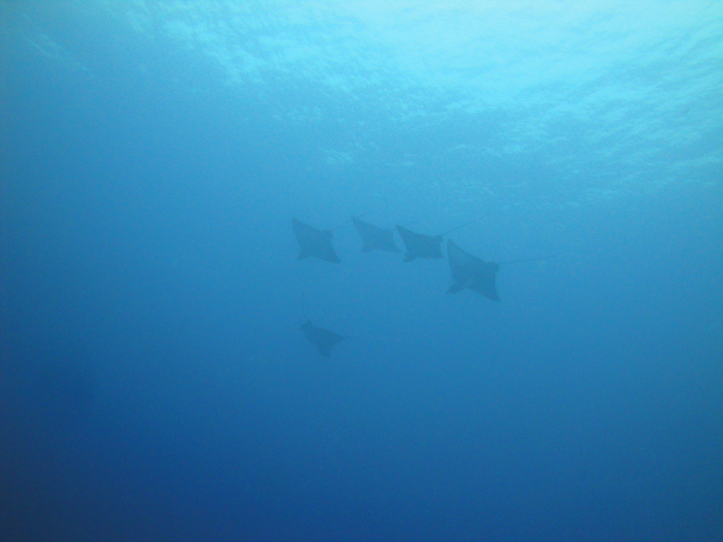 DSC00588.JPG
