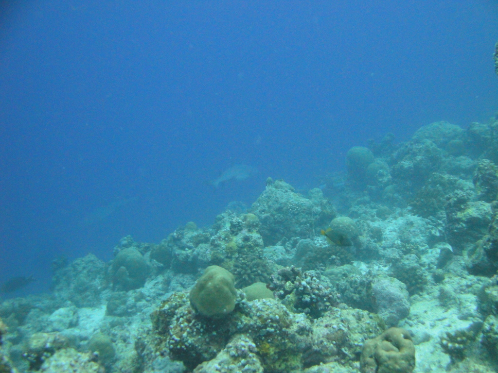 DSC00591.JPG