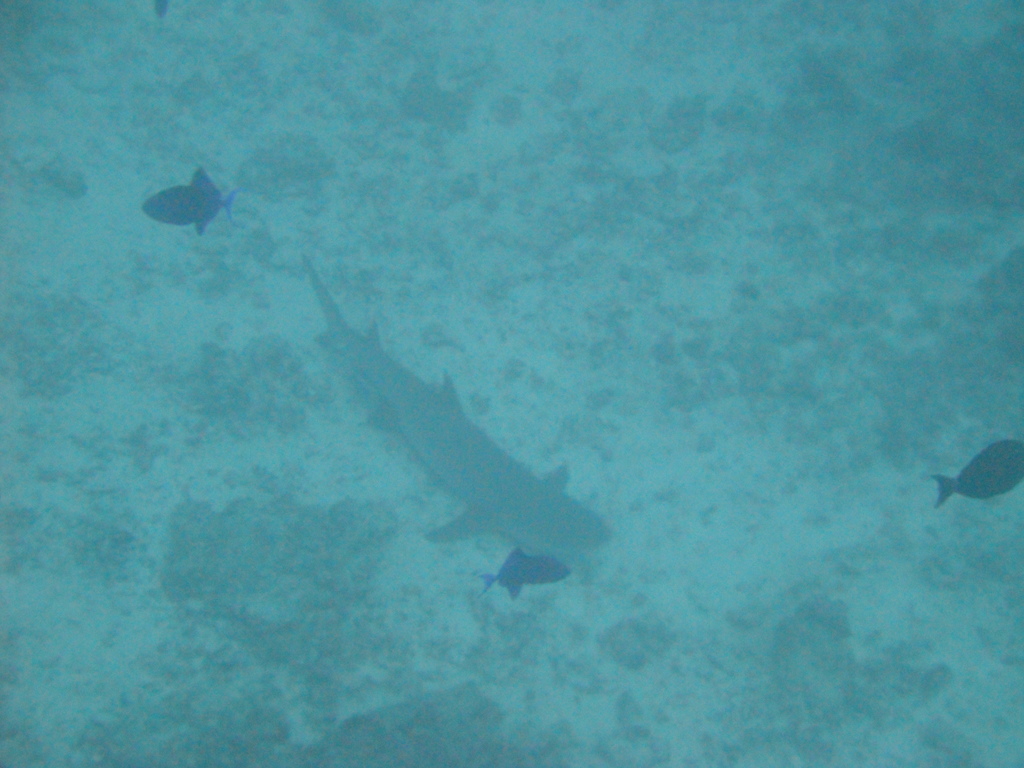 DSC00612.JPG