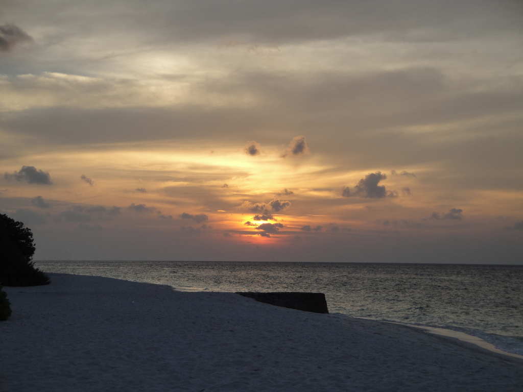 DSC00627.JPG