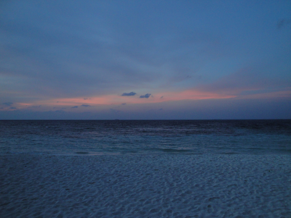 DSC00633.JPG