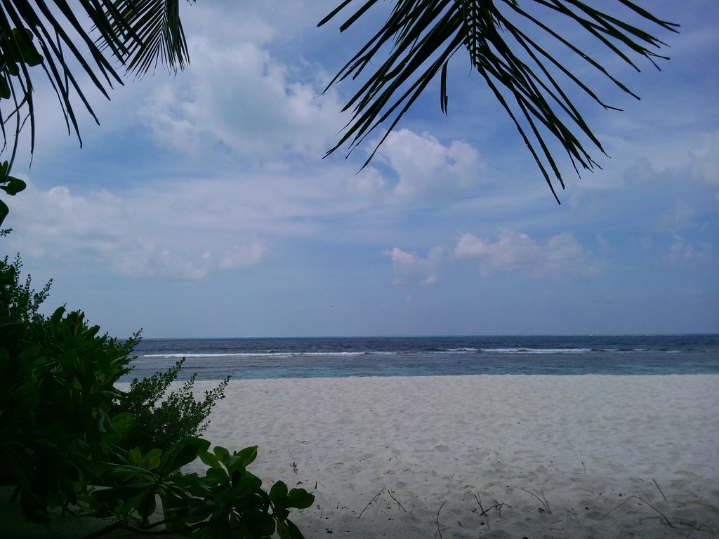DSC00637.JPG