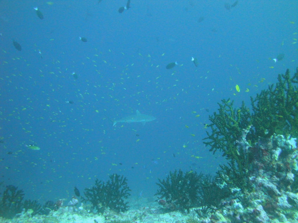 DSC00641.JPG