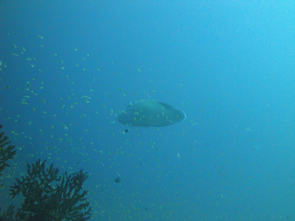 DSC00642.JPG
