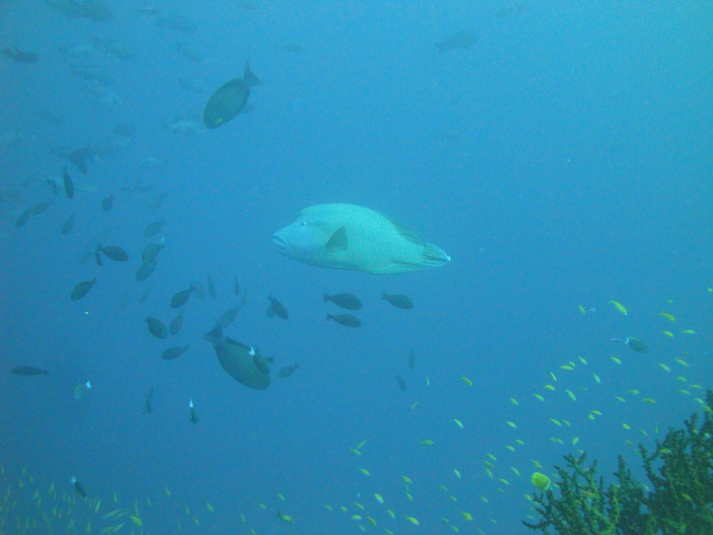 DSC00643.JPG
