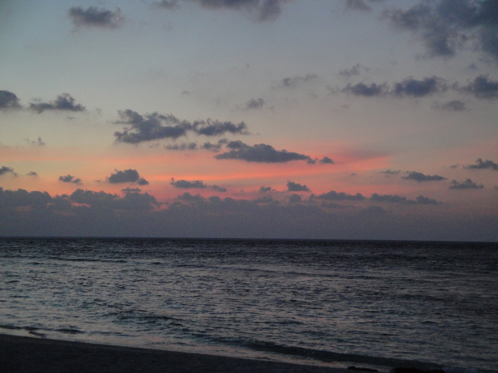 DSC00665.JPG