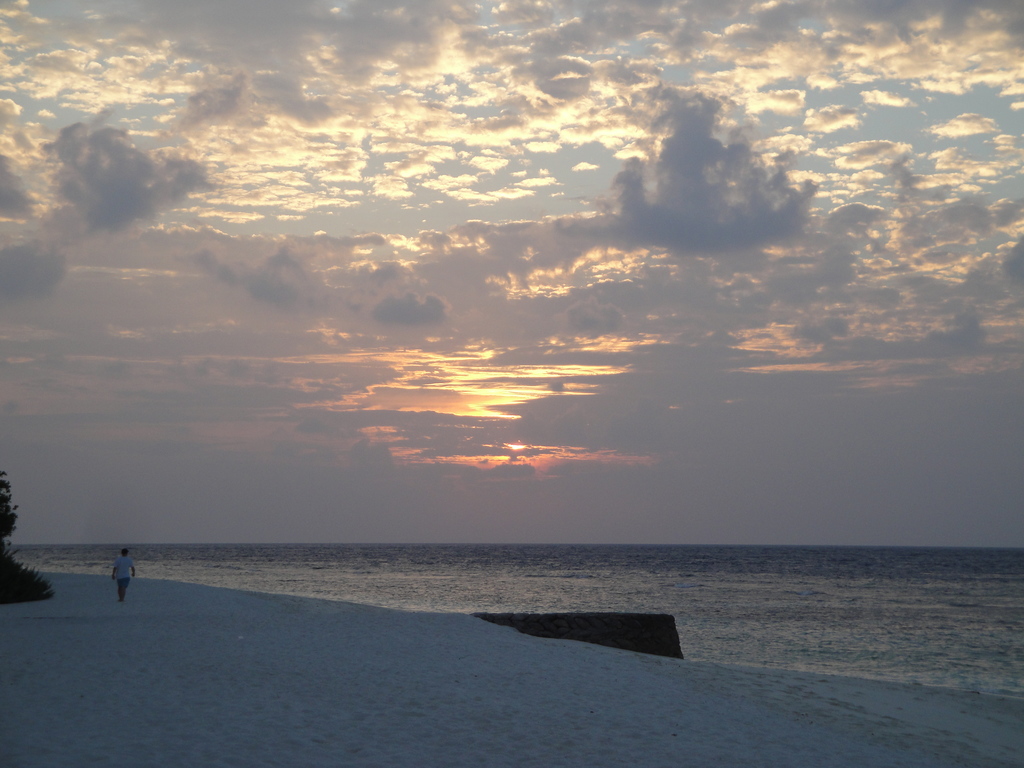 DSC00690.JPG