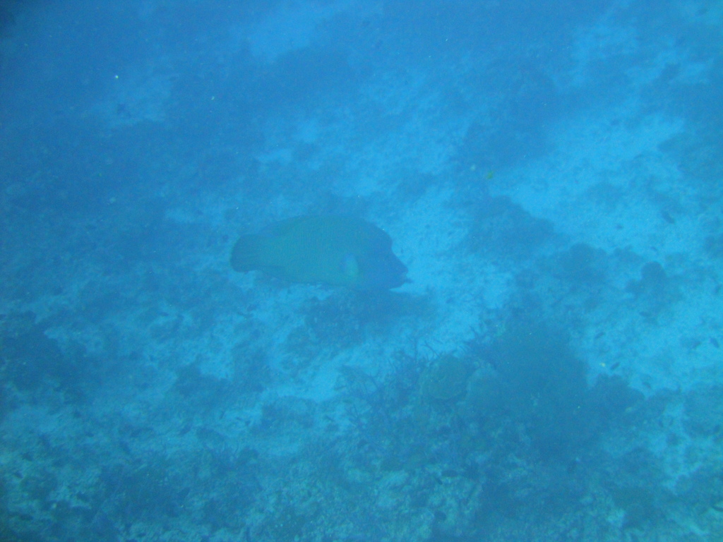 DSC00719.JPG