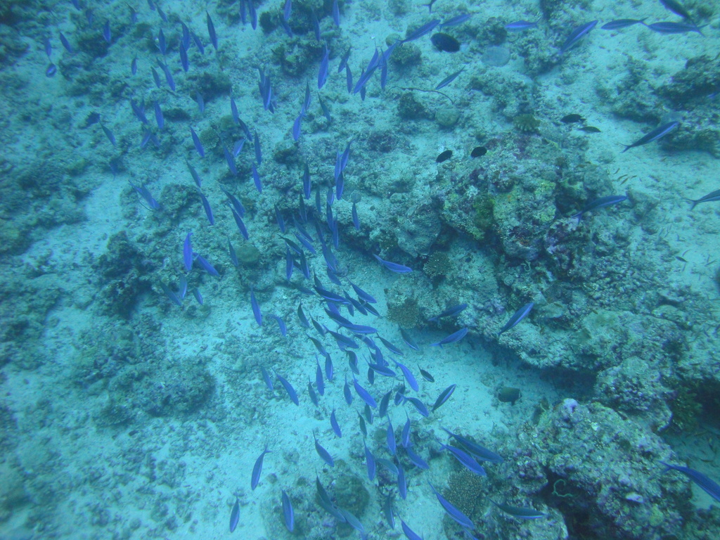 DSC00725.JPG