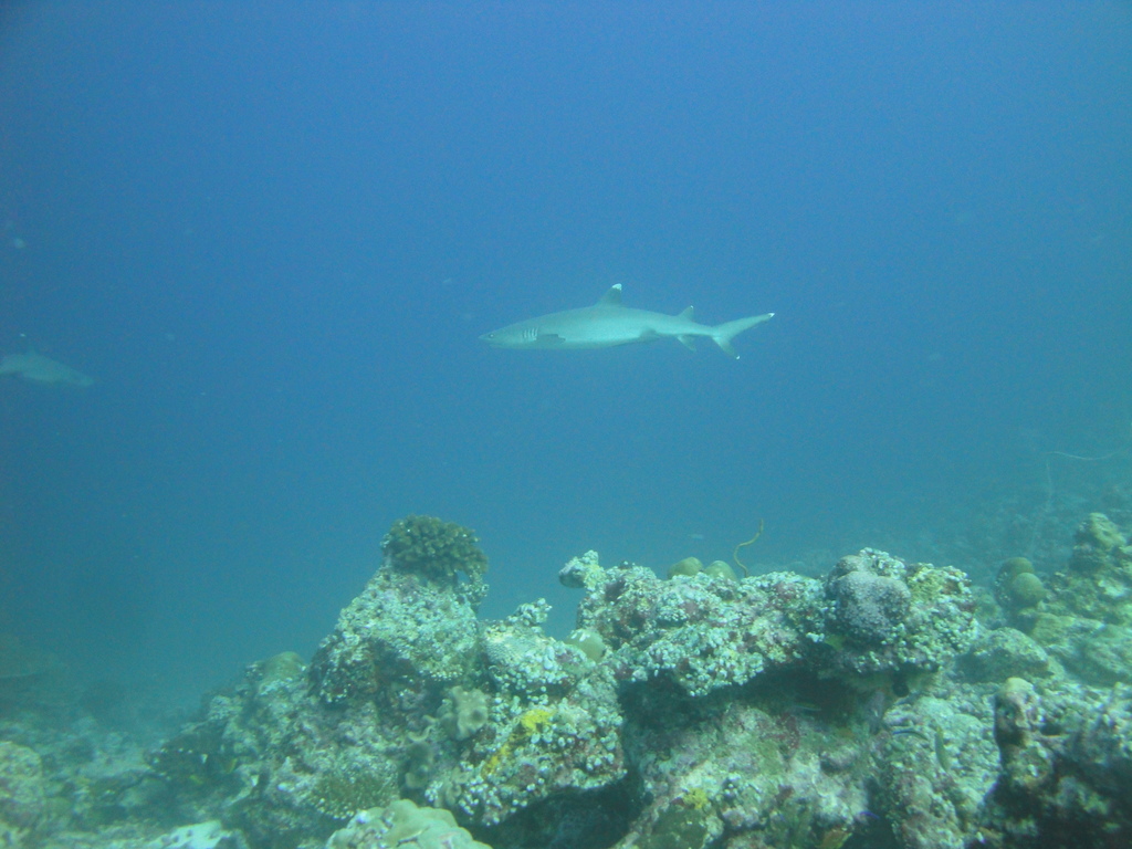 DSC00787.JPG