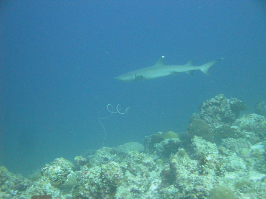 DSC00803.JPG