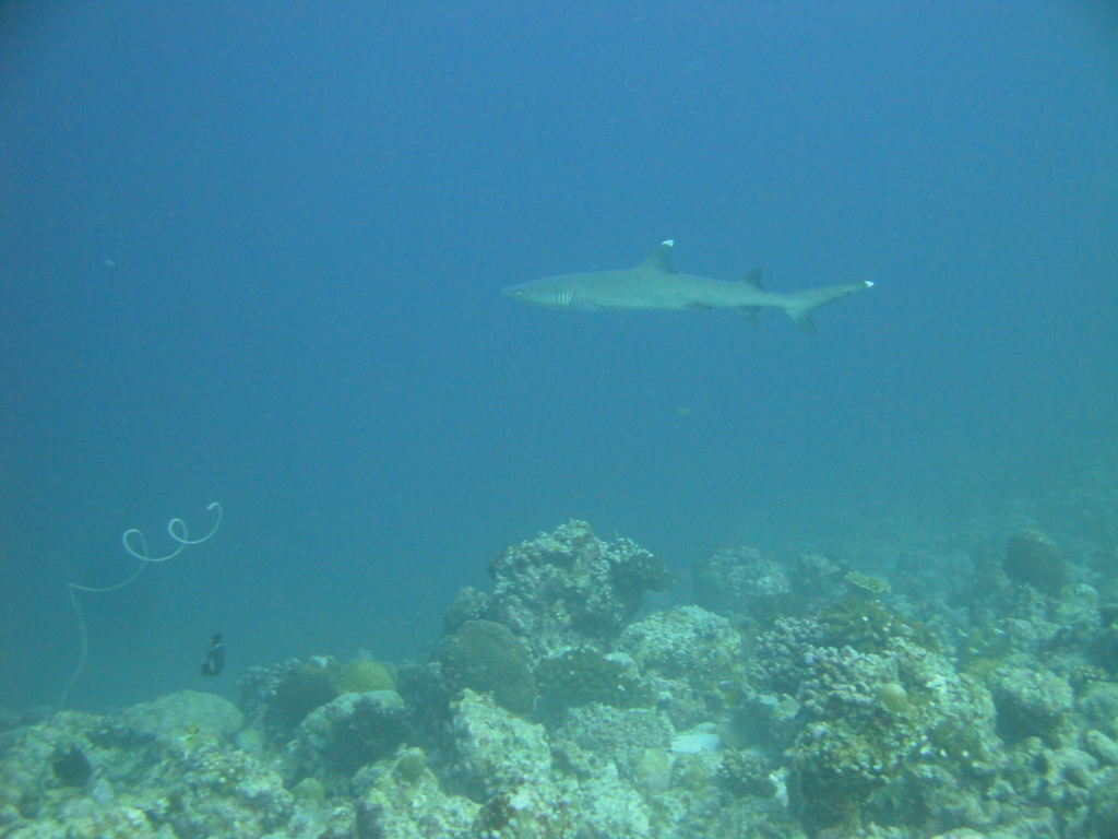 DSC00808.JPG