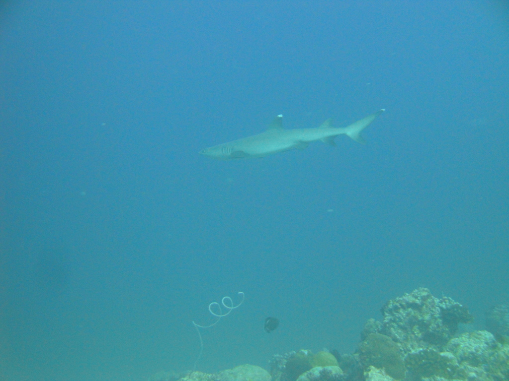 DSC00809.JPG