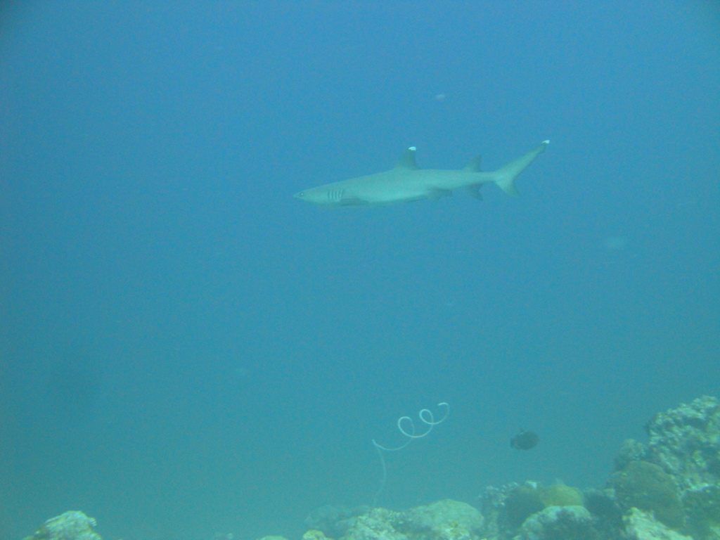 DSC00810.JPG