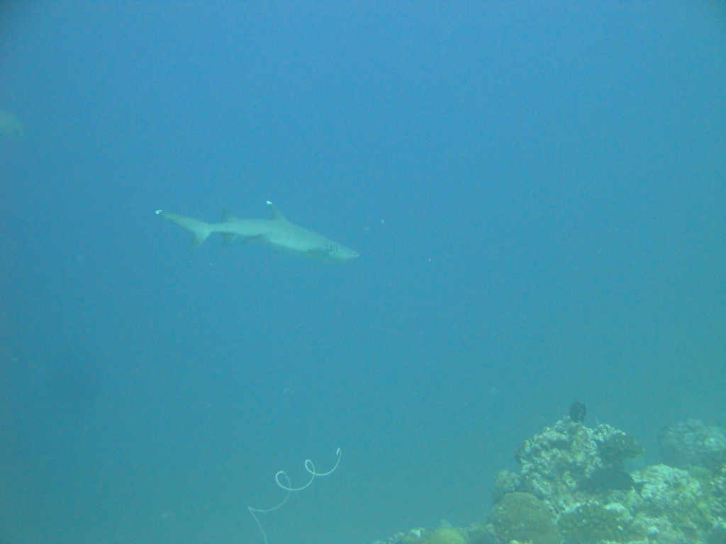 DSC00814.JPG