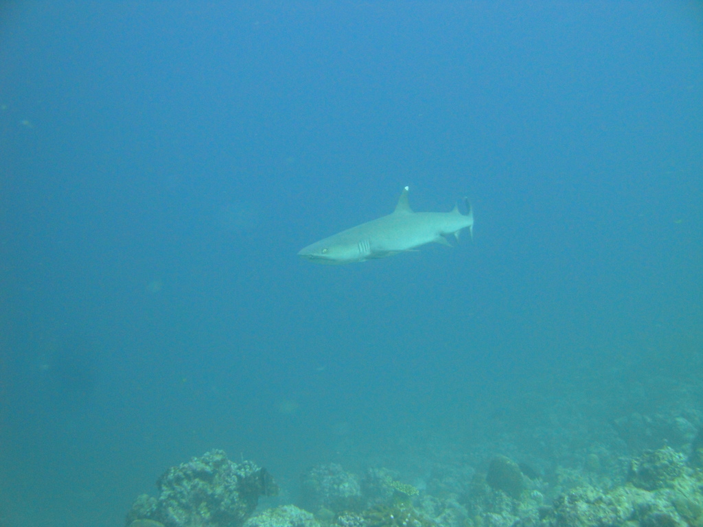 DSC00815.JPG