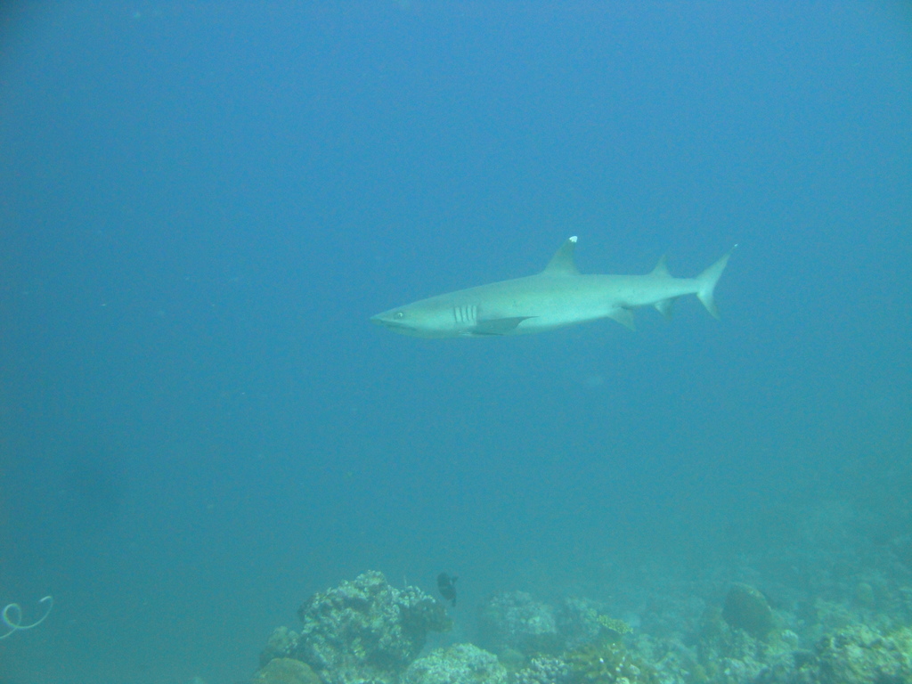 DSC00816.JPG