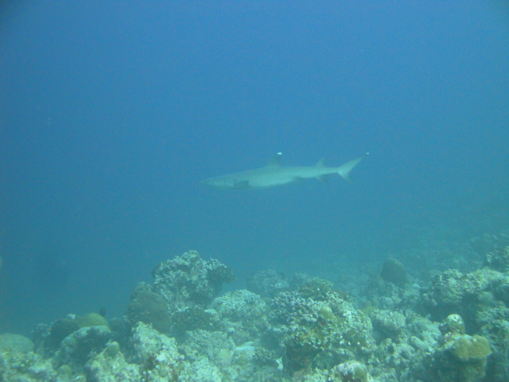 DSC00825.JPG