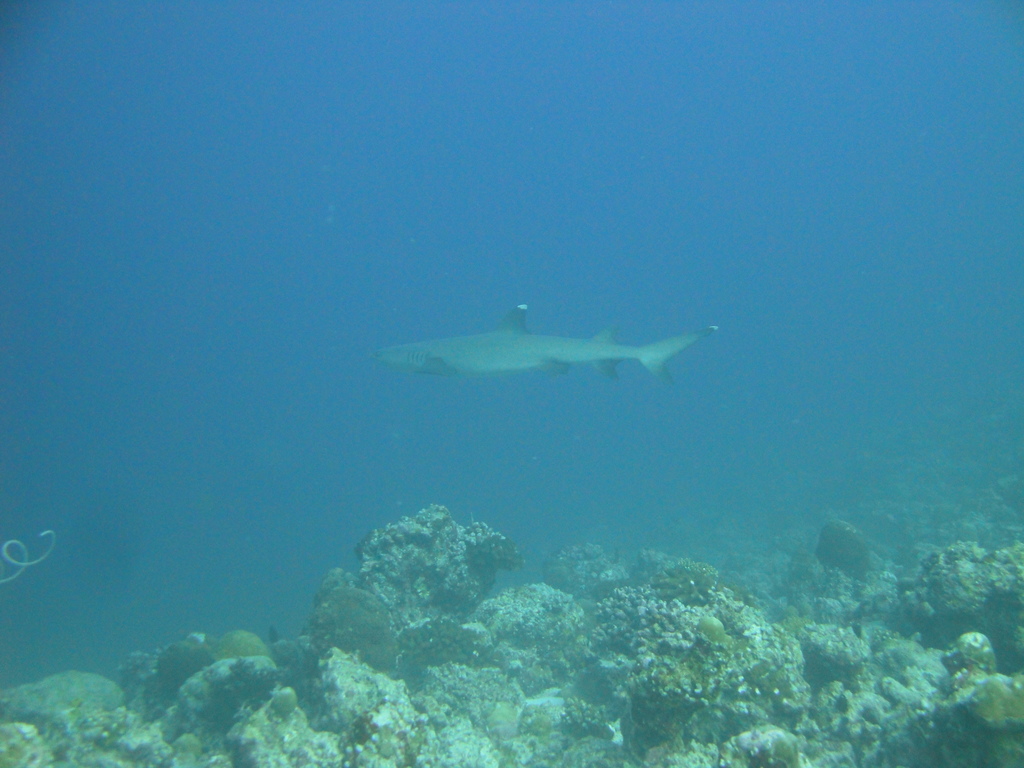 DSC00826.JPG