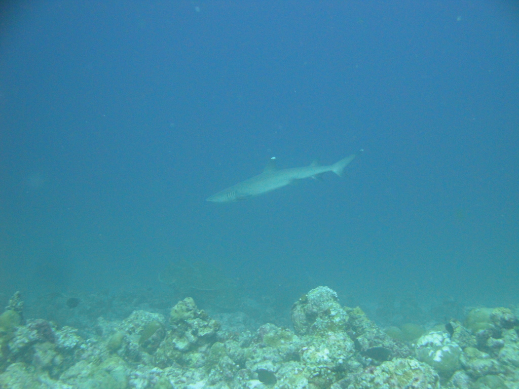 DSC00827.JPG