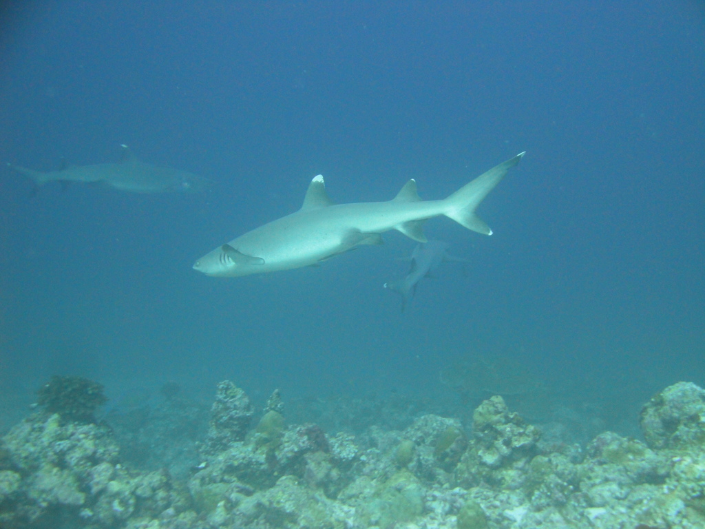 DSC00836.JPG