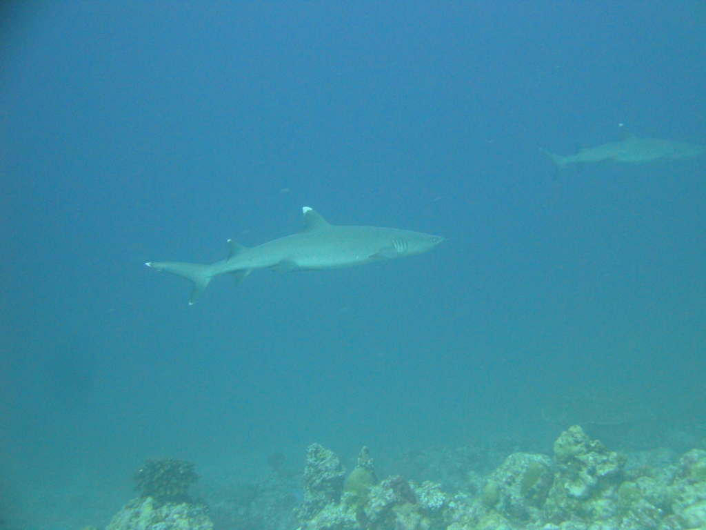 DSC00837.JPG