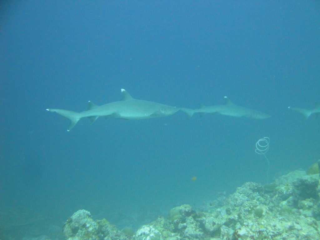 DSC00841.JPG