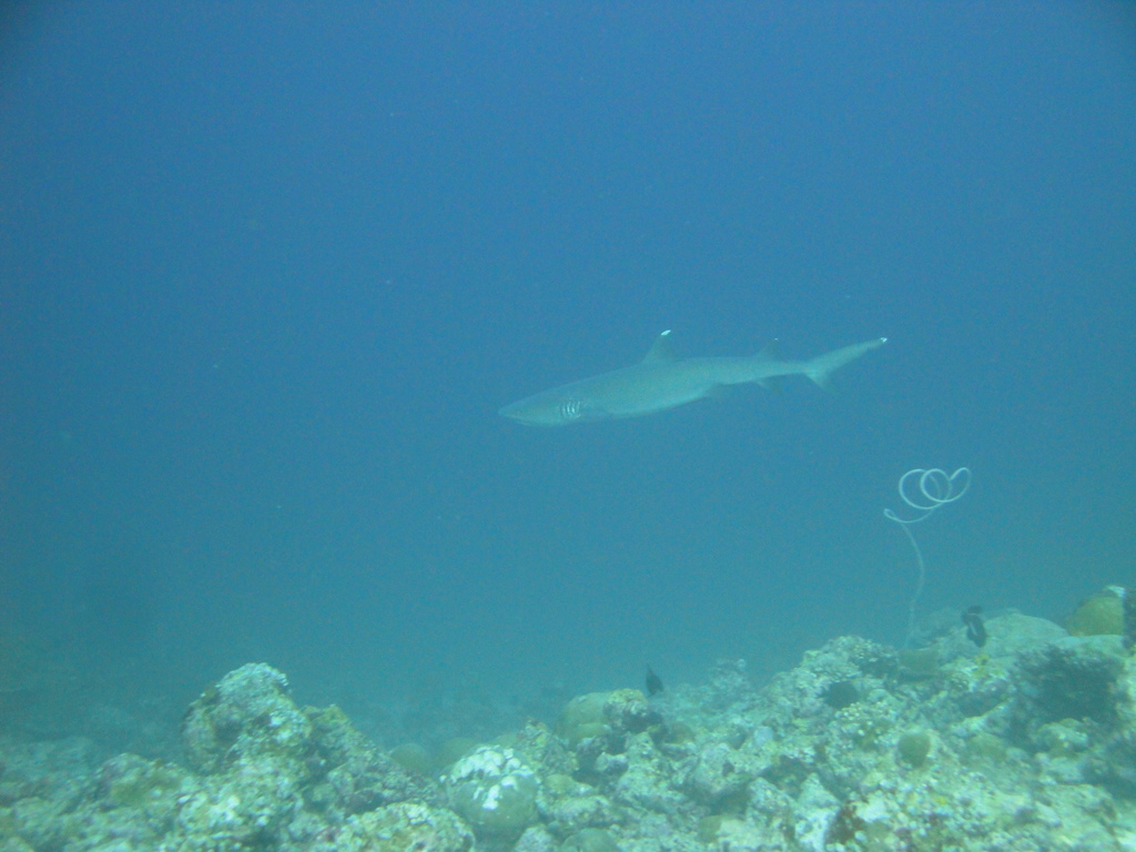 DSC00846.JPG