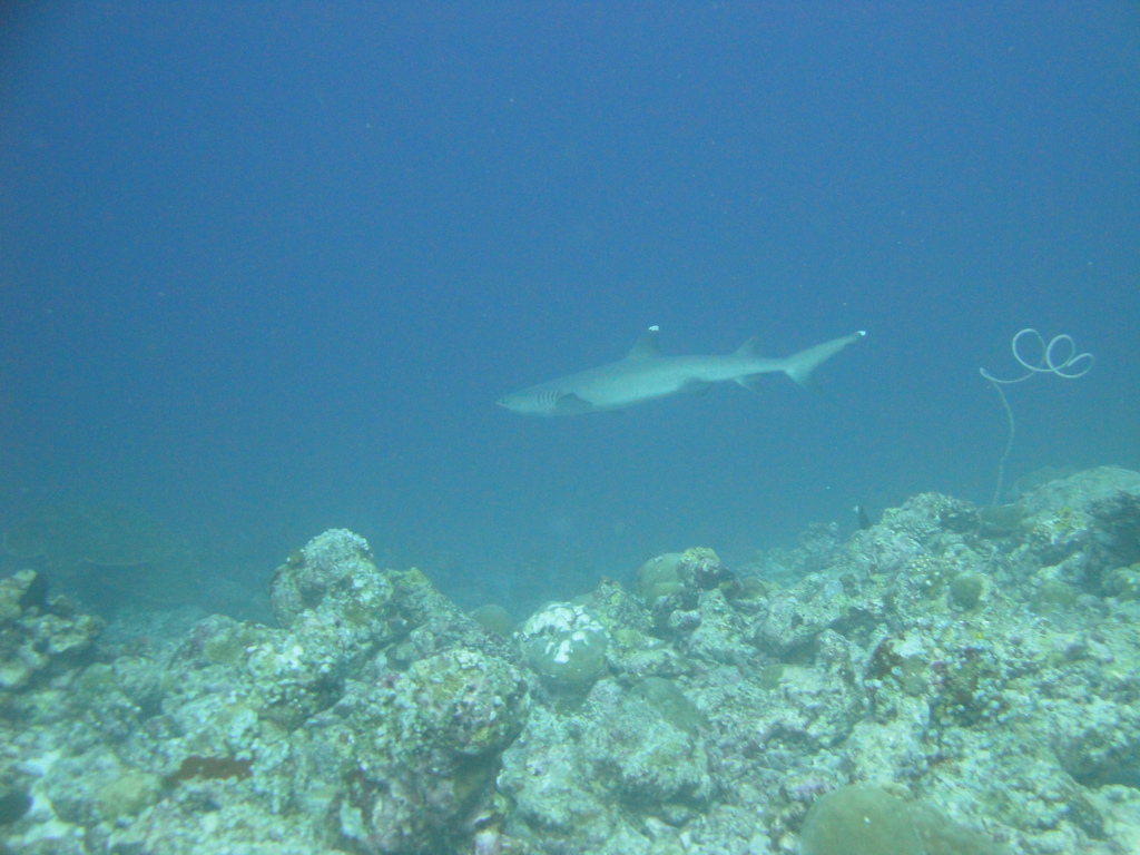 DSC00855.JPG