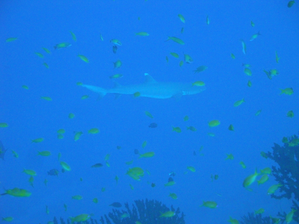 DSC00868.JPG