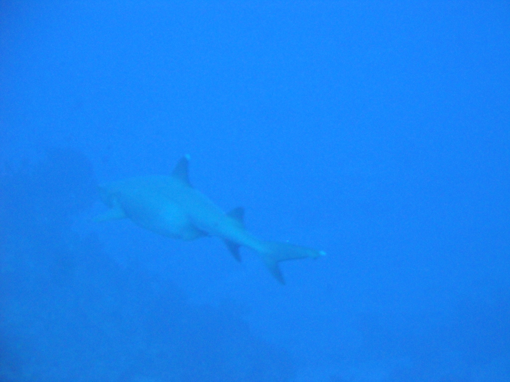 DSC00870.JPG