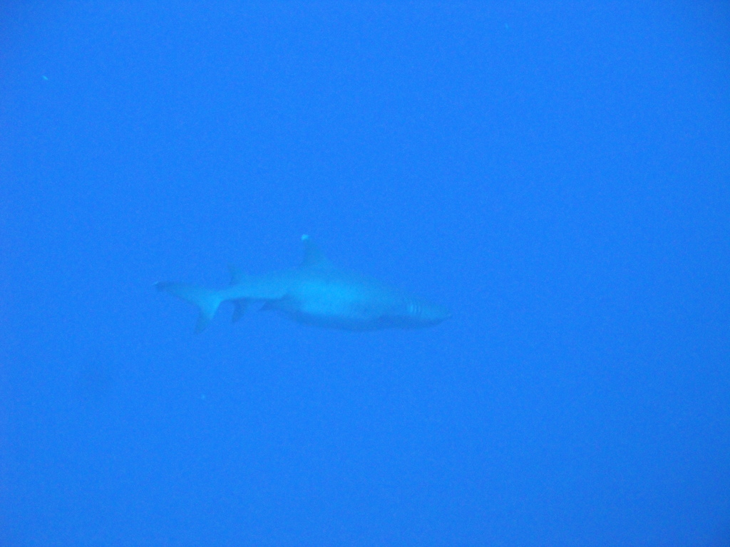 DSC00871.JPG