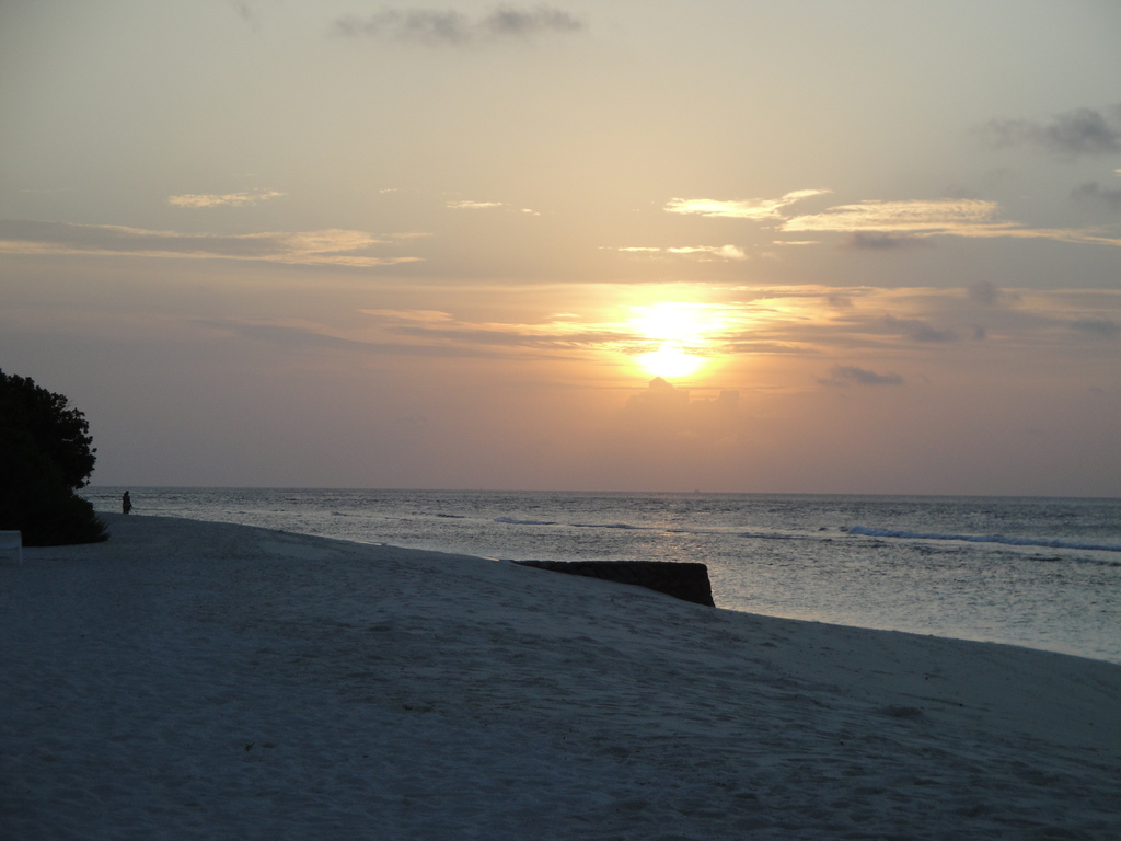DSC00921.JPG