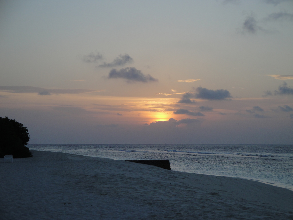 DSC00923.JPG