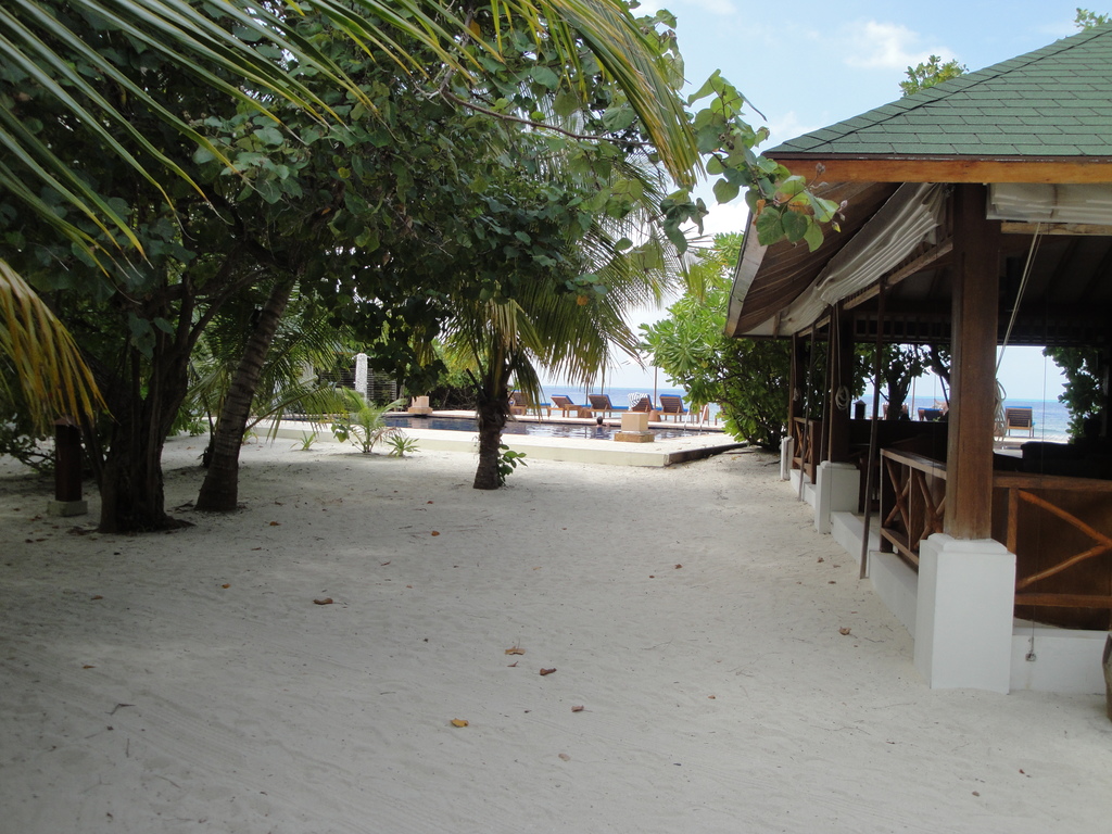 DSC00970.JPG