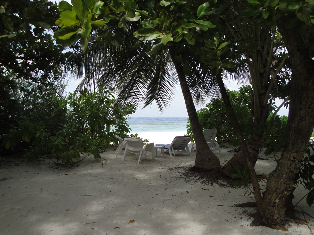 DSC00973.JPG