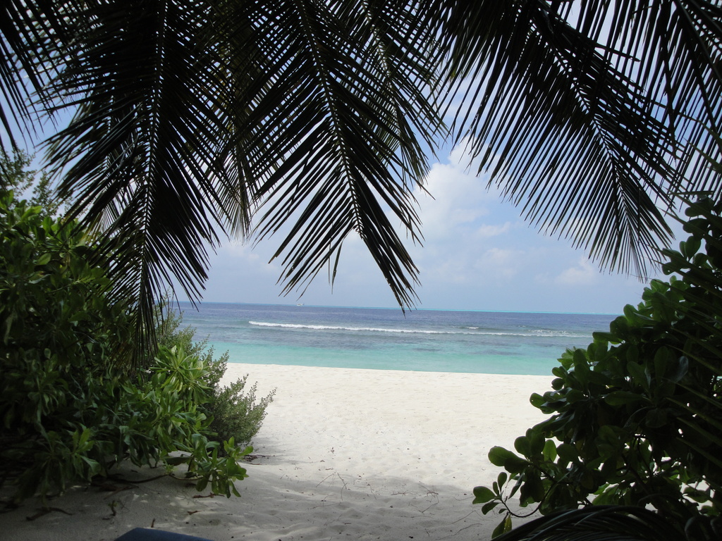 DSC00974.JPG