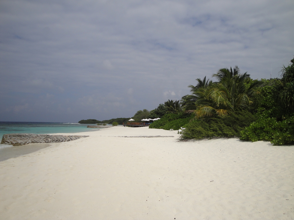 DSC00975.JPG